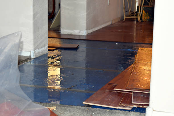 Professional Basement Flooding technician working in Knoxville, IA